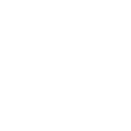 PhoenixOne